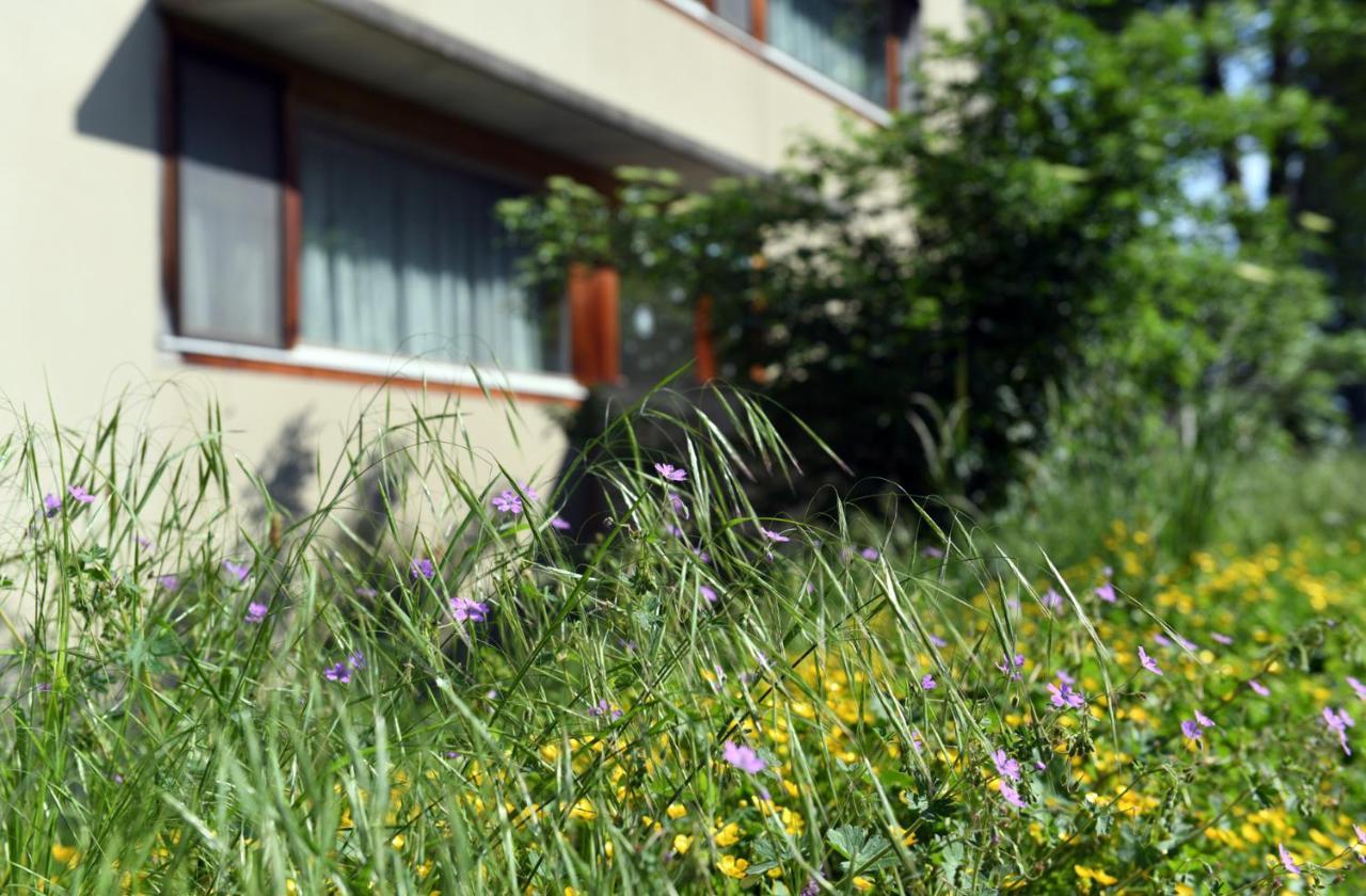 Hotel Domaine De La Sauge Cudrefin ภายนอก รูปภาพ